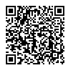楚旬眼前似乎出现了文才和秋生被无数愤怒的无主孤魂追杀的场景二维码生成