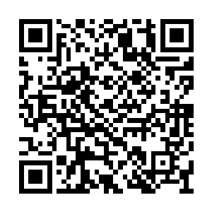 楚旬脑海中甚至不由自主的升起一个疯狂的念头二维码生成