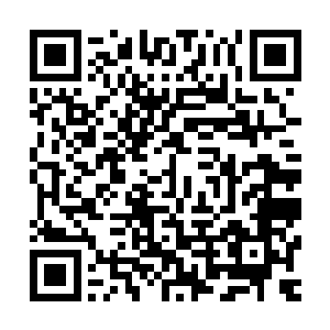 楚旬脸上那由外骨骼装甲凝聚而成的面甲也直接被愤怒所撕裂二维码生成