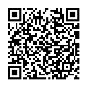 楚旬那有些吃力的声音却忽然从五色光手之下响起二维码生成
