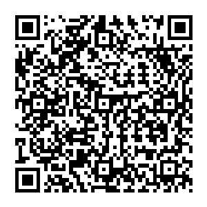 楚旬那被撑裂的识海也开始被金佛力量燃烧后所产生的一种特殊力量给一点一点的修补了起来二维码生成