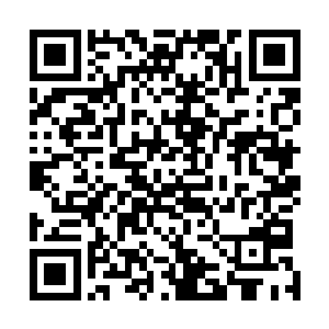 楚旬麾下的大量奶牛异形便已经铺天盖地地朝他冲杀而来二维码生成
