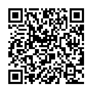 楚暮从空间戒指内取出早已经存放了很久的各种调料二维码生成