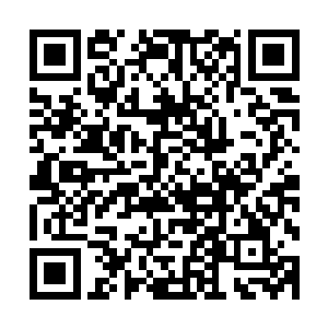 楚暮最后得到了两百七十三粒极品真元果和五百里上品真元果二维码生成