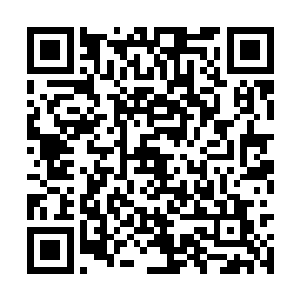 楚枫也只是解读出了一些最基本和粗浅的信息而已二维码生成