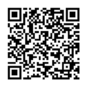 楚枫只是借用了这打狗棍破掉了自己施展的道则而已二维码生成