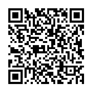 楚琼等人早在一年前就选好了他们各自的修行之地二维码生成