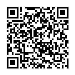 楚芸萱也是忍不住将身上另外一枚补血丹给收藏好了二维码生成