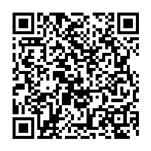 模拟场景……使用者记忆场景调取中……模拟生成……模拟相似度二维码生成