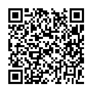 橘黄色的火光让这个潮湿冰冷的山洞有了几分热度二维码生成