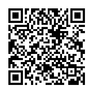 欧阳域子本来要带我们去寻找的是另外一个庇护所二维码生成