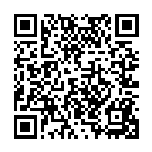 欧阳志远的手掌连续的和黄金法杖狠狠的撞在一起二维码生成