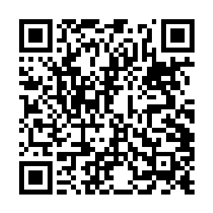 正可将你的宝贵经验传授给家族之中教的本族弟子二维码生成
