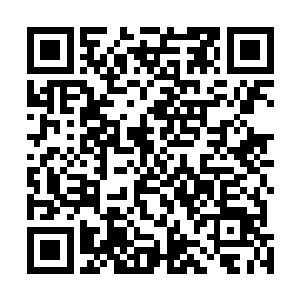 正在忙着给学生们签字合影的蓝梦正含笑享受着这份尊崇二维码生成
