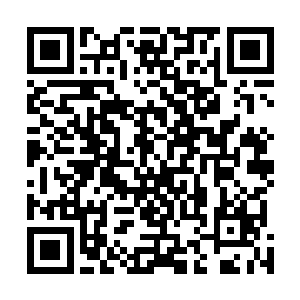 正在房间里的帕尼听到权侑莉在门口的声音惊愕的询问着二维码生成