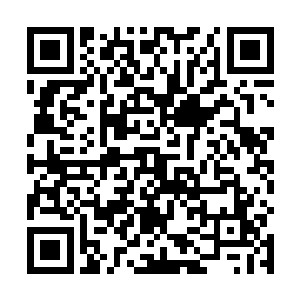 正在用盘古文明传承和修仙者的全新技术加以改造之时二维码生成