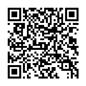 正在研究两军军情的大岛义昌众人怎么也没有想到二维码生成
