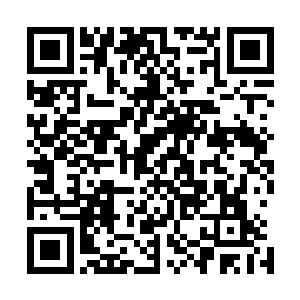 正在跳跃而起偷袭黑僵的我立刻出声提醒奶奶和澹台璃注意二维码生成