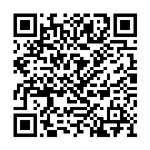 正好我听说最近这附近出现了一头十万里的飞马二维码生成