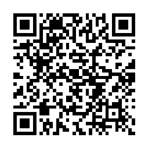 正好看见徐辛夷每天早晨都领着nv兵去西校场跑马二维码生成