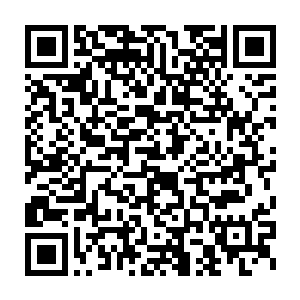 正好见到一个黑黑的阿三兄弟手里拿着砍刀正在劈削一些树枝用来生火二维码生成