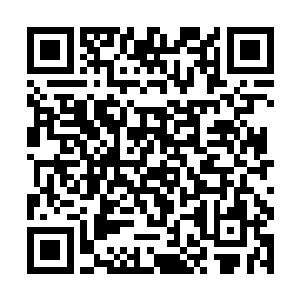 正好证明了她没有被复仇这种情绪干扰到自己的心智二维码生成