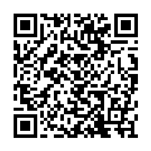 正巧赶到了自己与白萱的小女儿跑到了他的怀里二维码生成