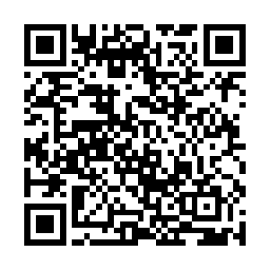 正当叶秋想要和白面说有关于秘密基地的事情的时候二维码生成