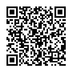 正当珍妮和希斯开始结伴在隆冬时分的新西兰户外拍戏时二维码生成