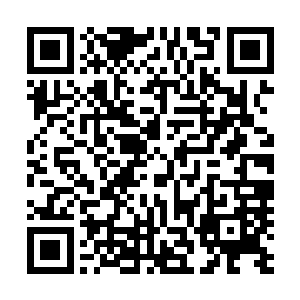 正思考着许诺有没有那么大的力气把这二蛋给拉上去的时候二维码生成