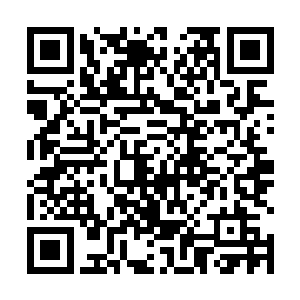 正搭着苗毅一只胳膊带着飞行的阎修发现了苗毅的异常二维码生成