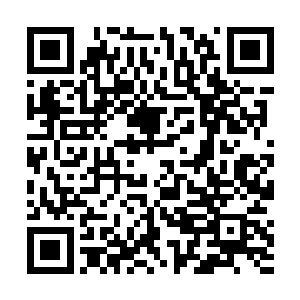 正是之前在候机大厅当中吸引了所有人目光的红裙美女二维码生成