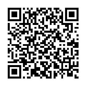正是他上次在gz玄学会比试中那凡木拿出来的罗盘二维码生成