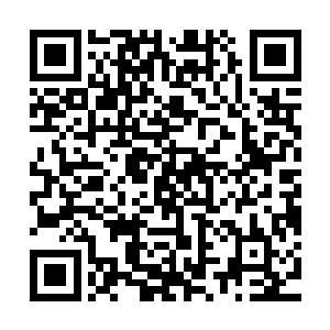 正是因为装疯才看清了身边这些口口声声喊他干爹的人的真面目二维码生成