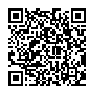 正是有了生命之泉的帮助使得精灵族的整体实力有了很大的提升二维码生成