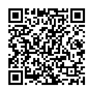 正是瑞亚等被格塔娜弄进来的龙族一系的囚禁地点二维码生成