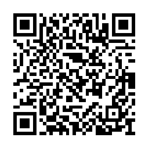 正是苗毅等人进入考场前在这法器上打下的法印二维码生成