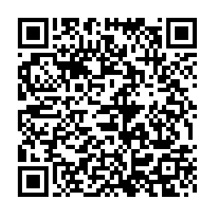 正是那个为了救自己在妖兽群里身受137处剑伤却没喊一声疼痛的弟弟二维码生成