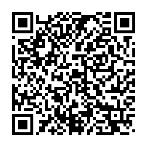 正窝在深山中的一个洞穴里睡觉的卫亦航突然打了一个大大的喷嚏二维码生成