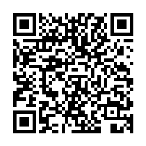 正见孙策率领着数万杀气腾腾的霸王军来到了襄阳城数百丈外二维码生成