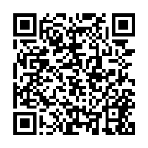 此刻也是纷纷抬起了自己的右脚狠狠的朝着苏凡的小腹踹了过去二维码生成