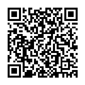 此刻他很庆幸他自己只看了一点画面就把这捞子山神印给丢掉了二维码生成