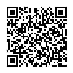 此刻在一边的蛇夫圣骑早就已经朝着苏凡窜了过去二维码生成