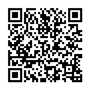 此刻在他们全力出手之下竟然能够爆发出如此惊人的破坏力二维码生成