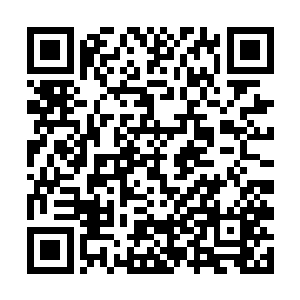 此刻在战堡外围巡逻留守的都有大地骑士和幻影骑士二维码生成