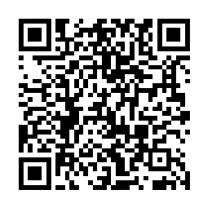 此刻它已经重新变成了一根小小的绿藤缠绕在剑尘的手腕处二维码生成