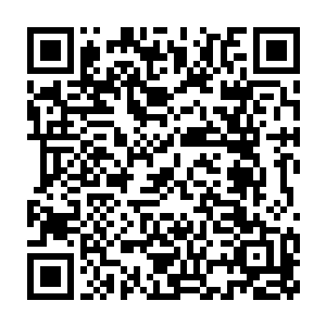 此刻楚旬等人在这洪荒世界之中也已经不再是像之前那样默默无闻二维码生成