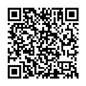 此刻白骨公爵的尸体正以肉眼可见的速度在腐烂二维码生成