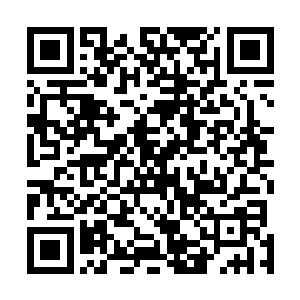 此刻表现的就像是守家无数年的孩听到了父母的消息一样二维码生成