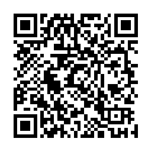 此君却是因为体型太过于硕大被正在闭合之中的阵势夹住了二维码生成